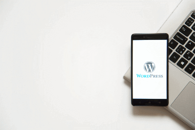 Protecting your WordPress Website: Why Security is Paramount